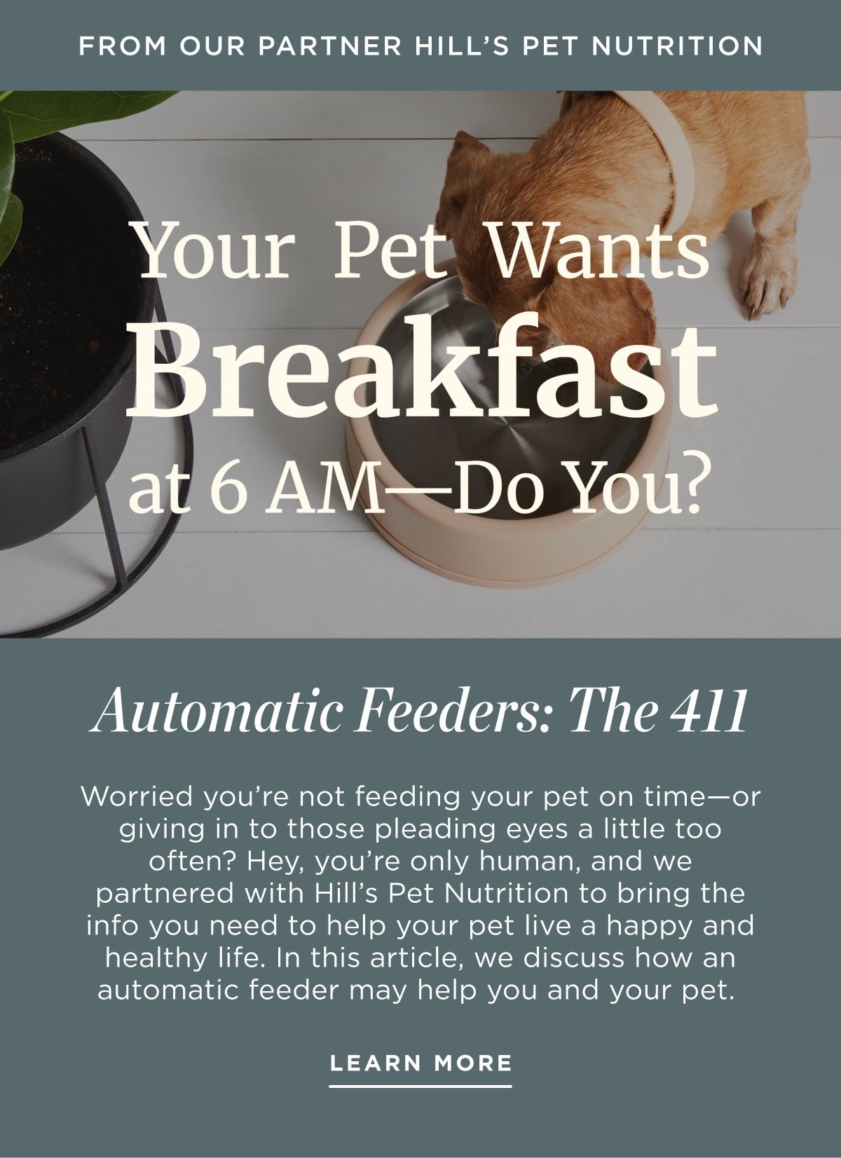 Hill's Pet Nutrition