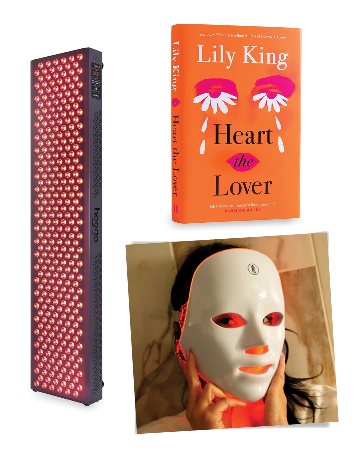 Lily King Heart the Lover book