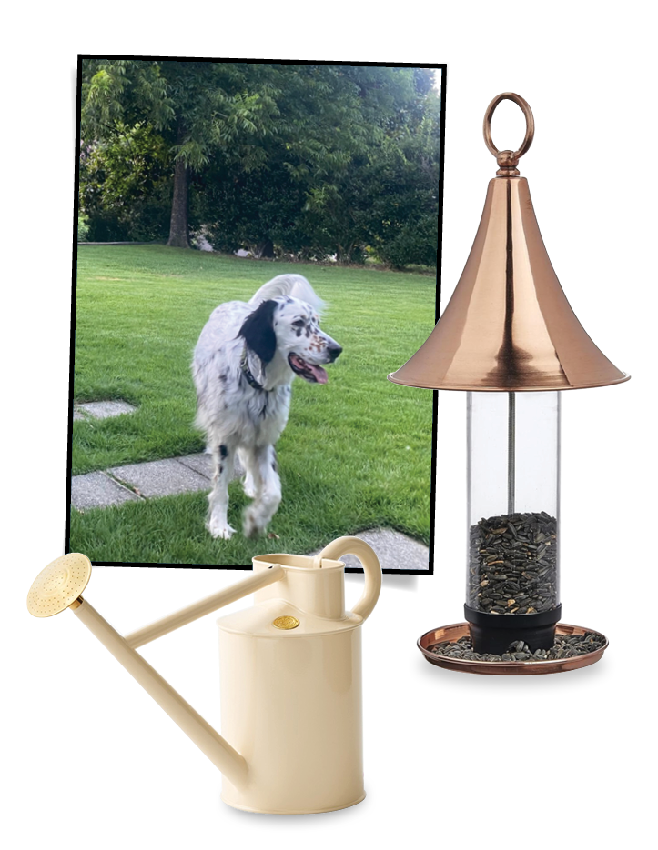 Copper top bird feeder