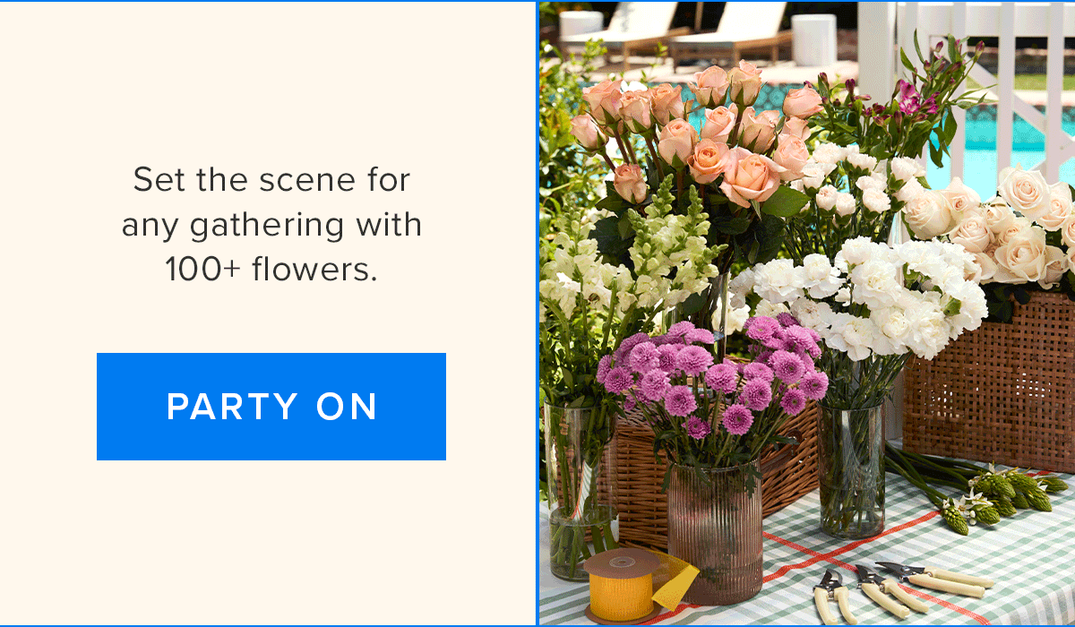 Set the scene for any gathering with 100+ flowers. Party On