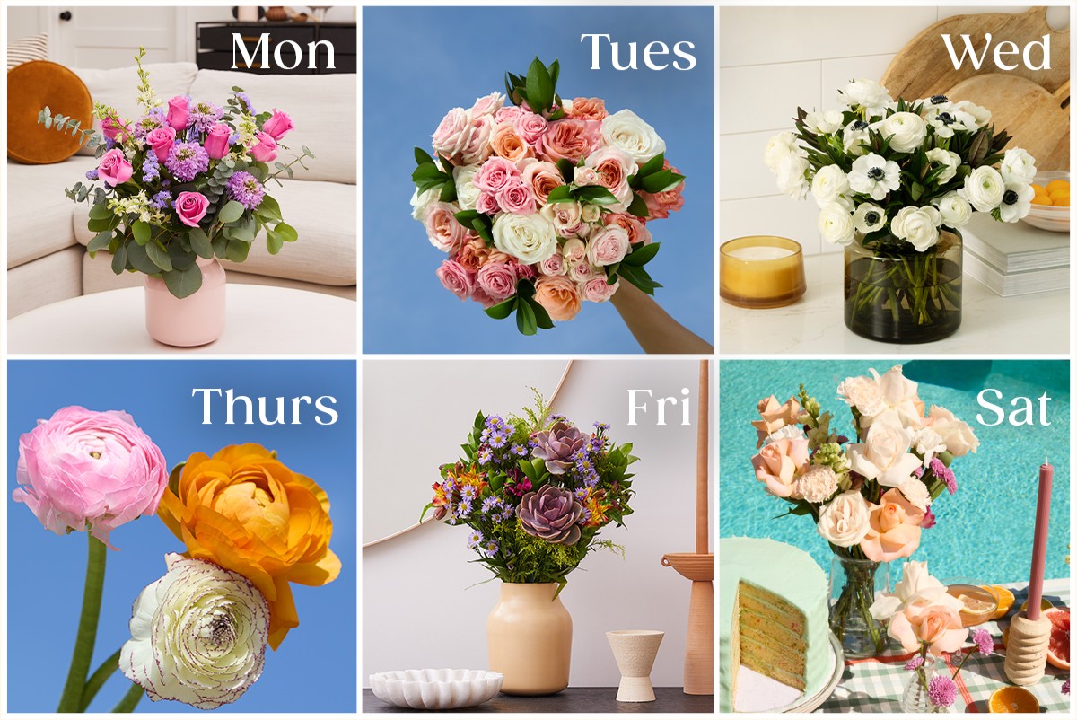 Send flowers Monday through Saturday for any celebration. 