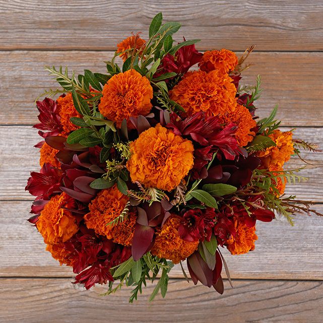 Featured Bouq: Bonfire