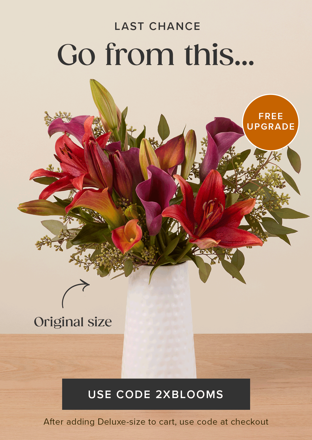 Last Chance for a Free Upgrade! Go from an original size...to a deluxe size for FREE! Must add a Deluxe-size to cart and use code 2XBLOOMS at checkout