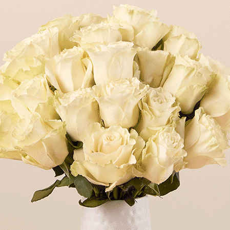 Featured Bouq: Glow-in-the-Dark Roses