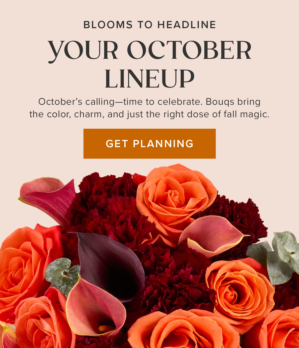 Blooms to Headline Your October Lineup. October's calling--time to celebrate. Bouqs bring the color, charm, and just the right dose of fall magic. Get Planning
