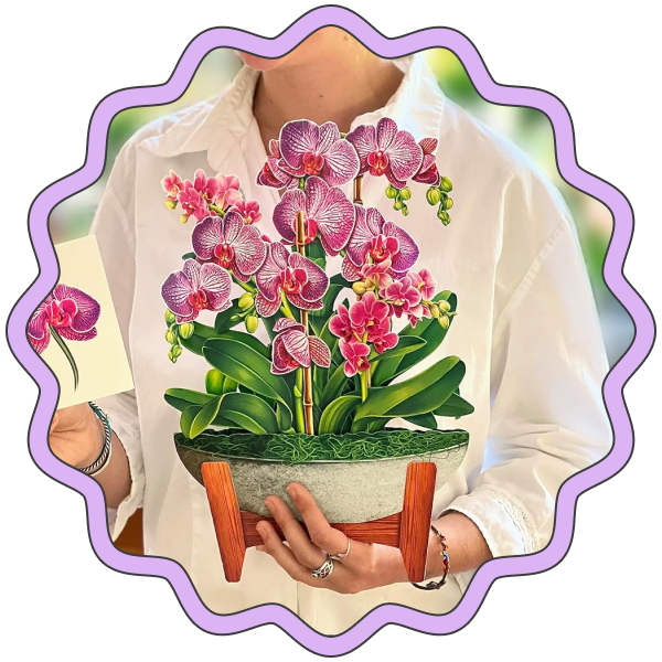 Freshcut Paper Pop Up Cards