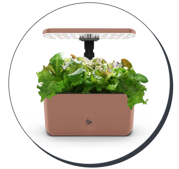 AeroGarden Harvest Lite