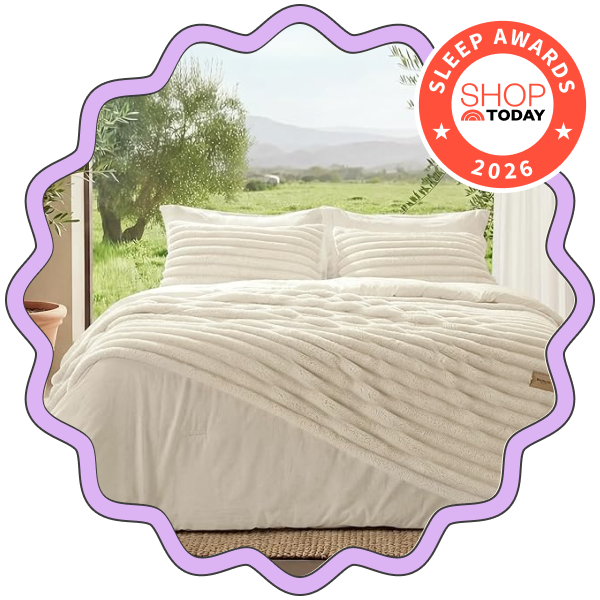 Bedsure Gentlesoft 2-in-1 Queen Comforter Set