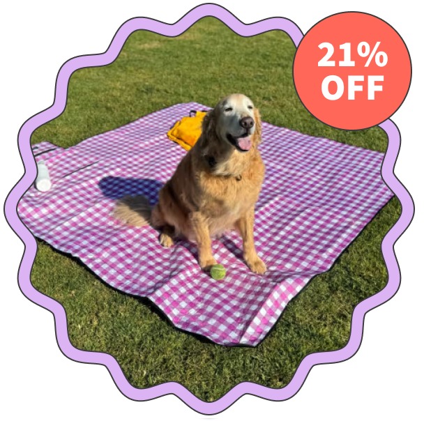 Zaze Extra Large Outdoor Picnic Blanket