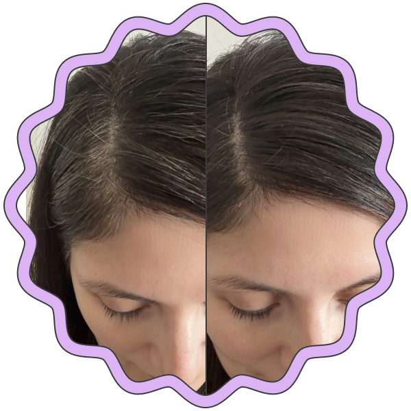 EverPro Gray Away Root Touch-up Quick Stick