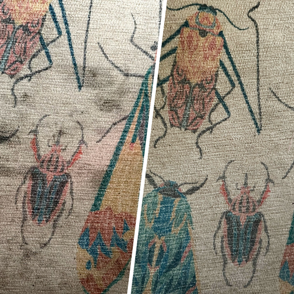 Shark StainForce Cordless Portable Spot, Stain, & Odor Remover System