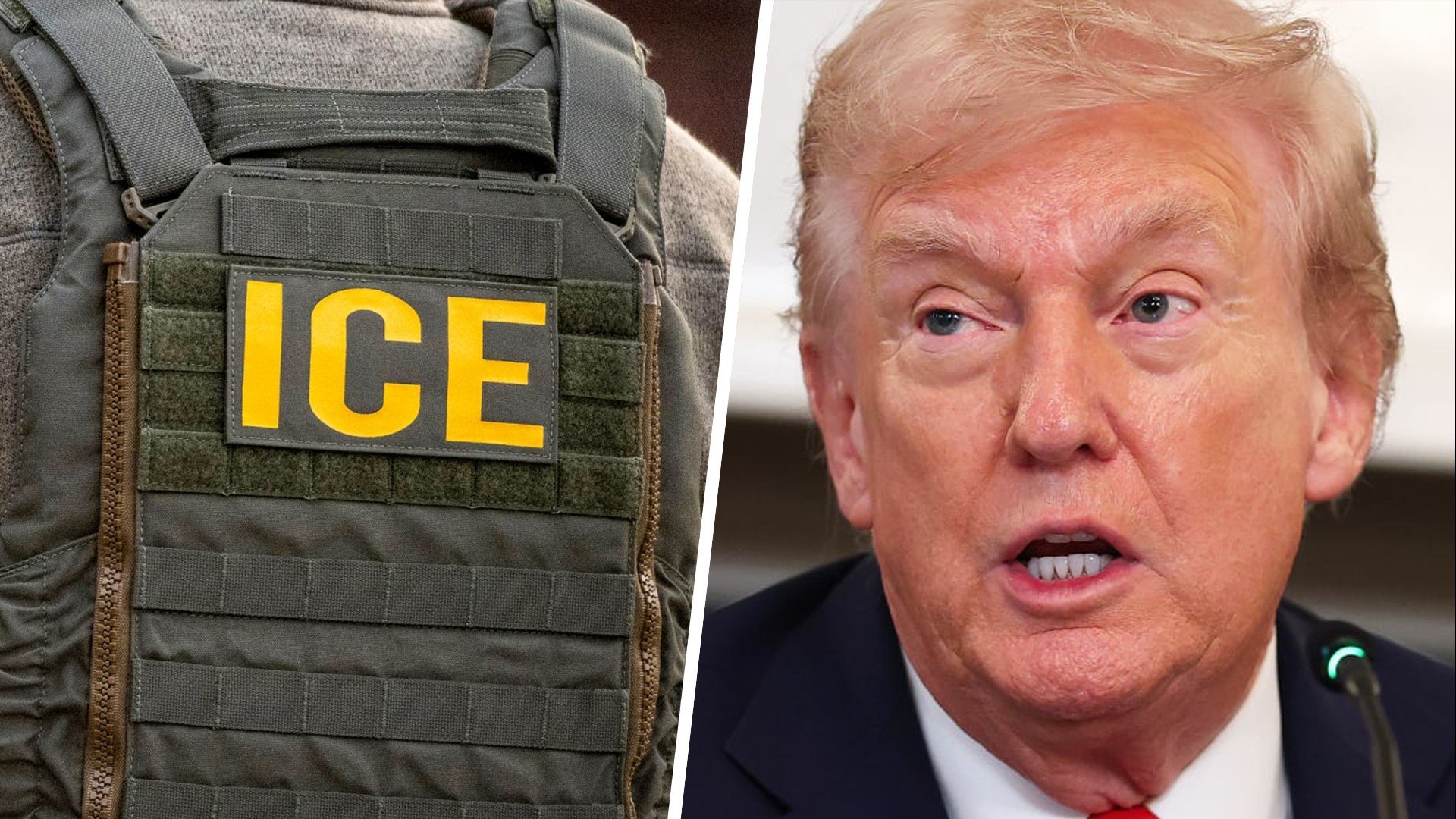 ICE vest and Donald Trump