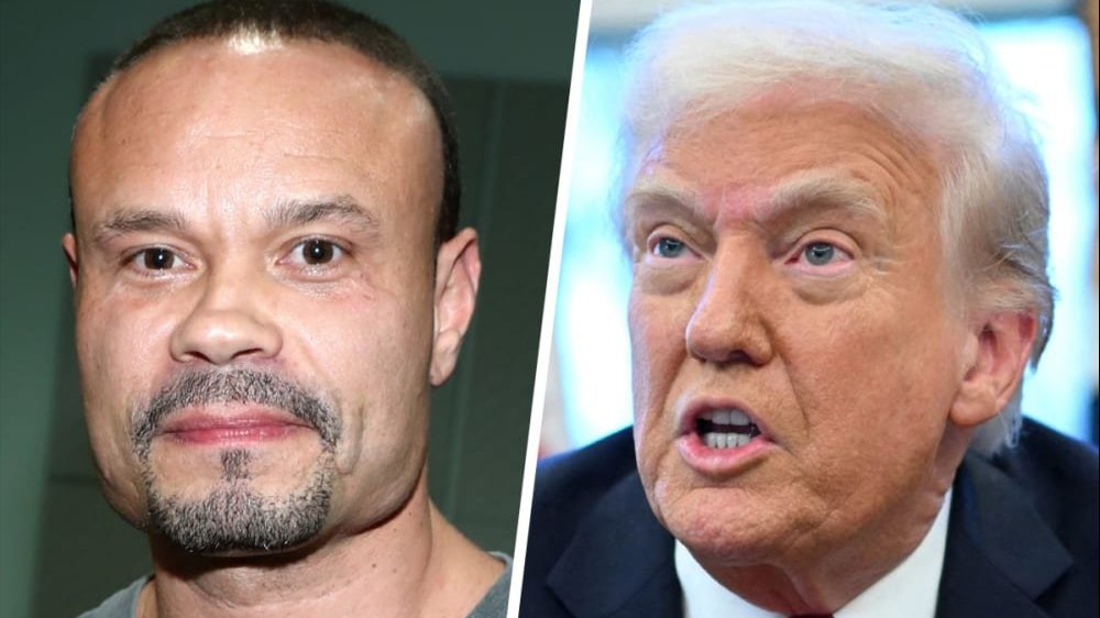 Dan Bongino, Donald Trump