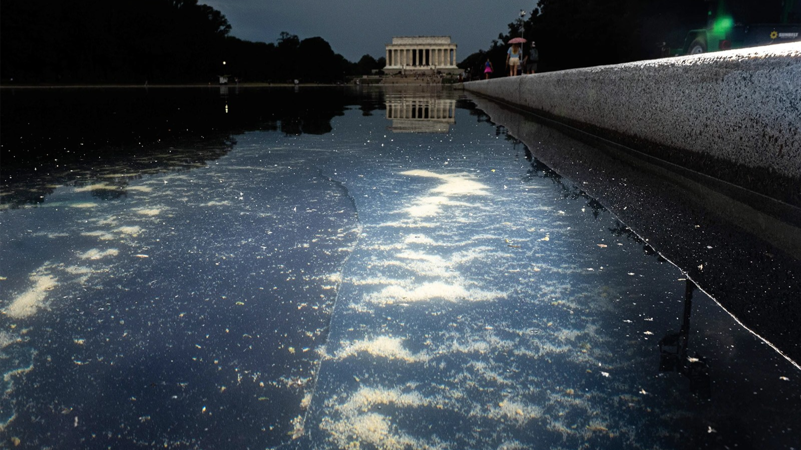 Flash lights up the chipped paint and algae in the Reflecting Pool. The Lincoln Memorial is visible in the background.