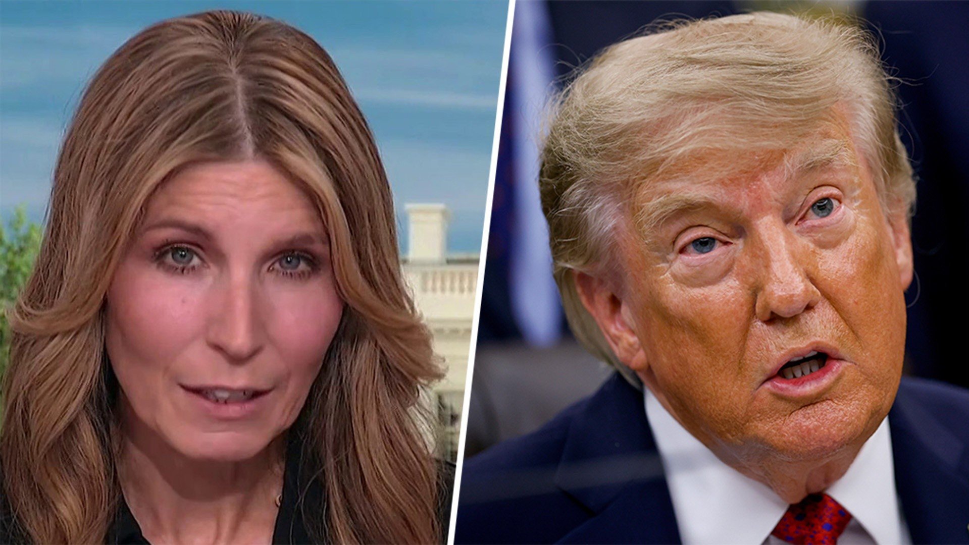 Nicolle Wallace and Trump