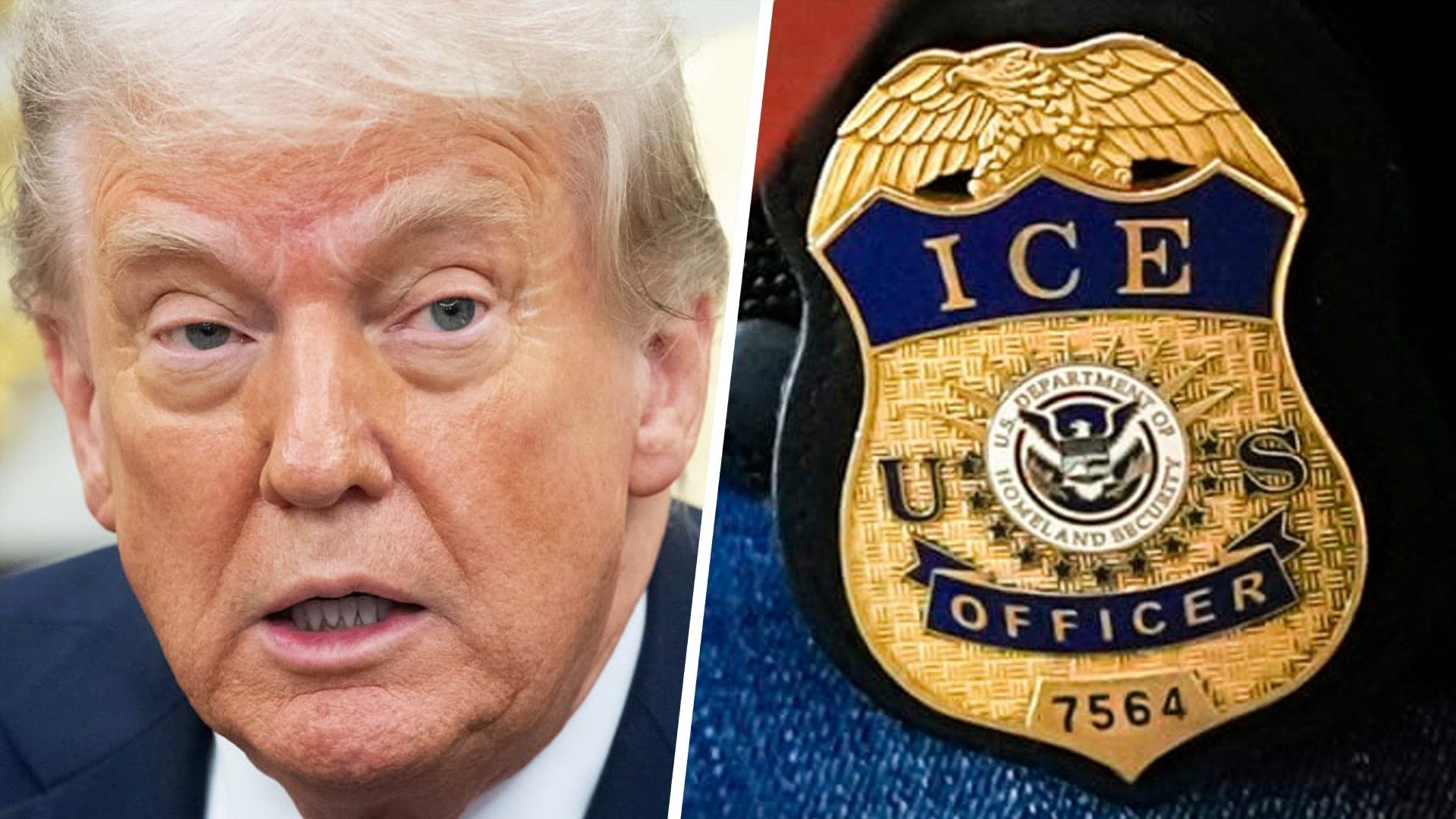 Trump / ICE badge