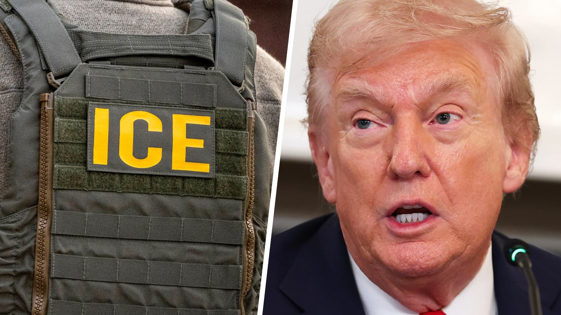 ICE officer, Donald Trump