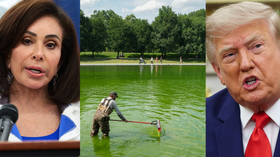 Jeanine Pirro, Reflecting Pool, Donald Trump