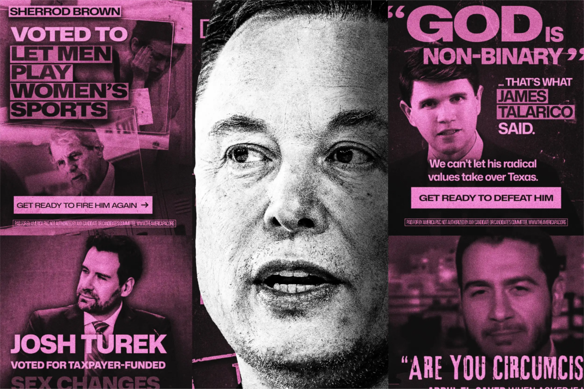 Elon Musk appears amid political ads featuring Sherrod Brown, James Talarico and Josh Turek that target transgender rights.