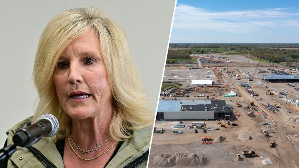 Erin Brockovich