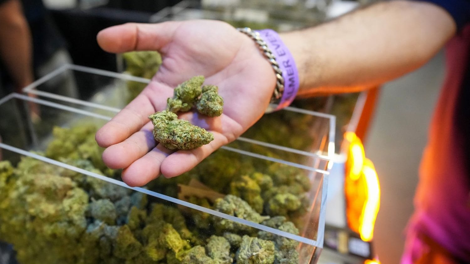 A hand holding marijuana cartoons 