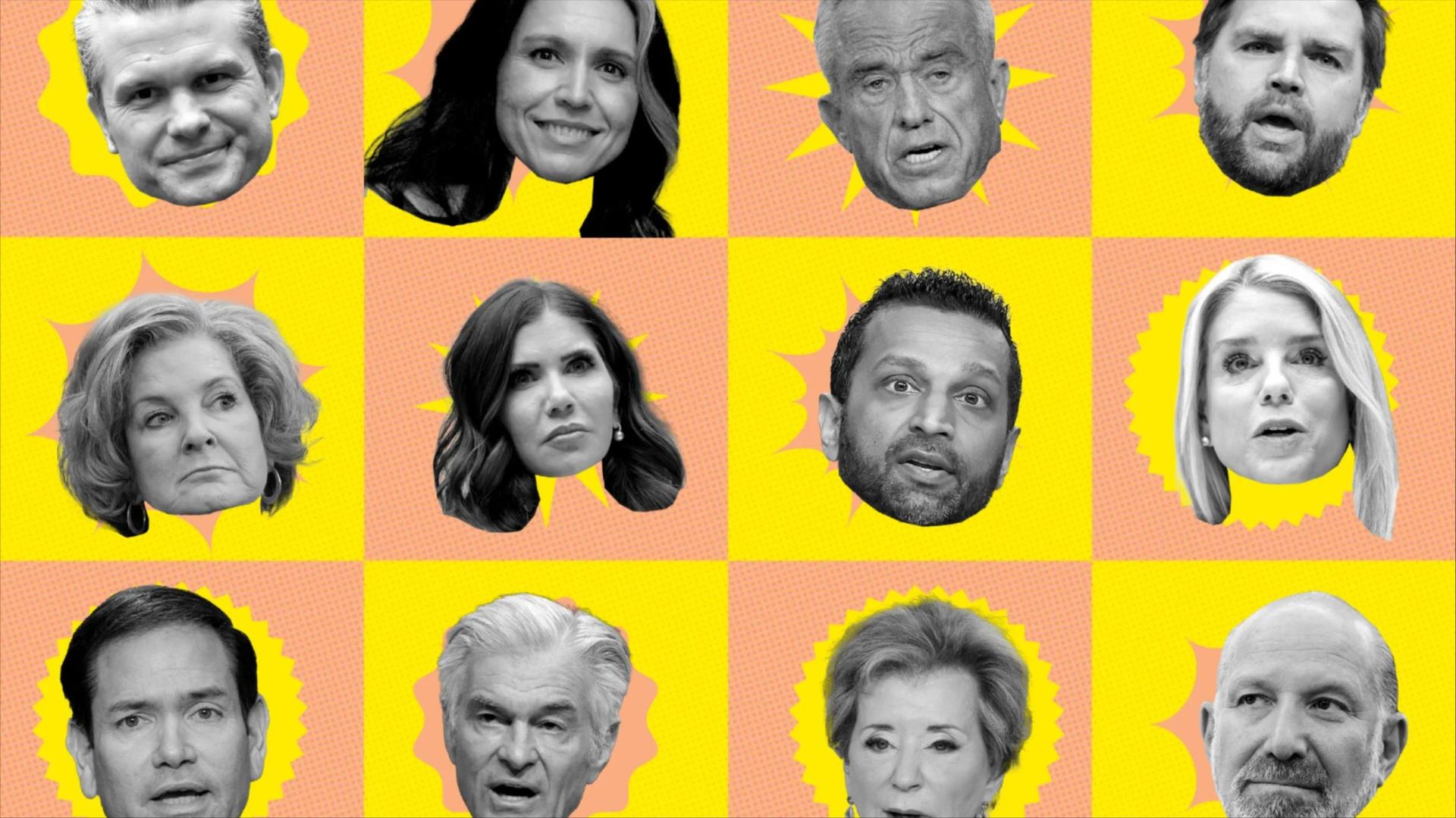 A photo illustration featuring heads of Trump's Cabinet in a pink and yellow grid