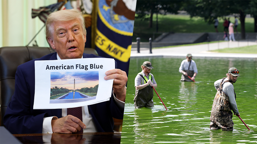 Donald Trump, reflecting pool algae
