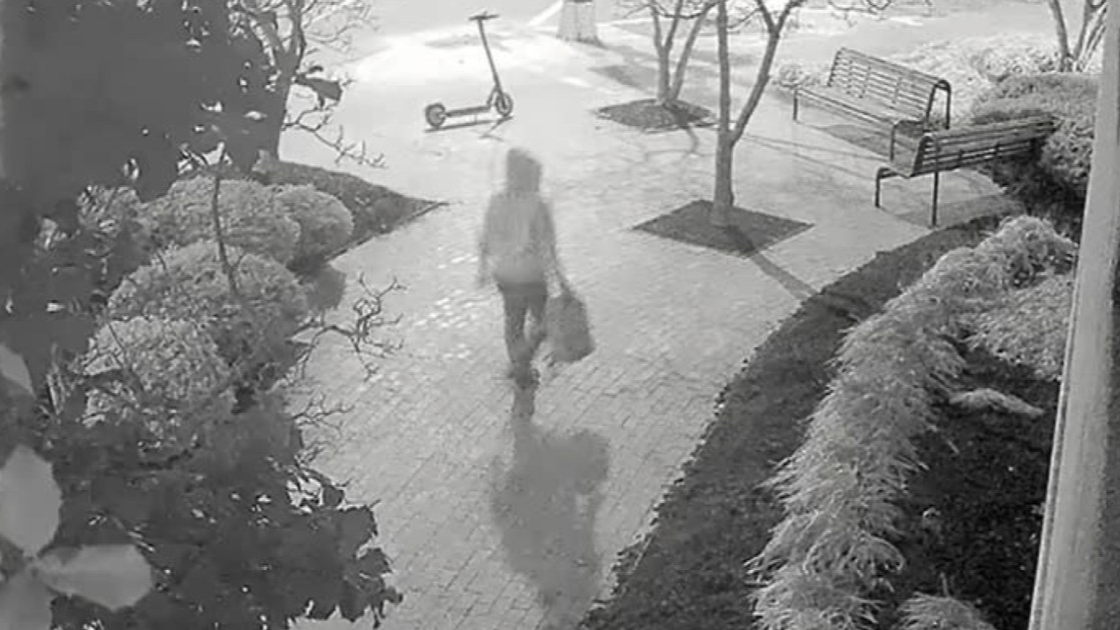 Security footage of DNC pipe bomb suspect