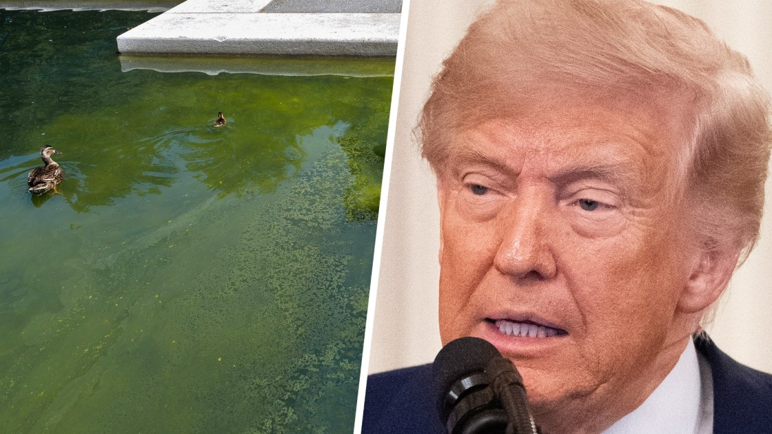 Reflecting Pool, Donald Trump