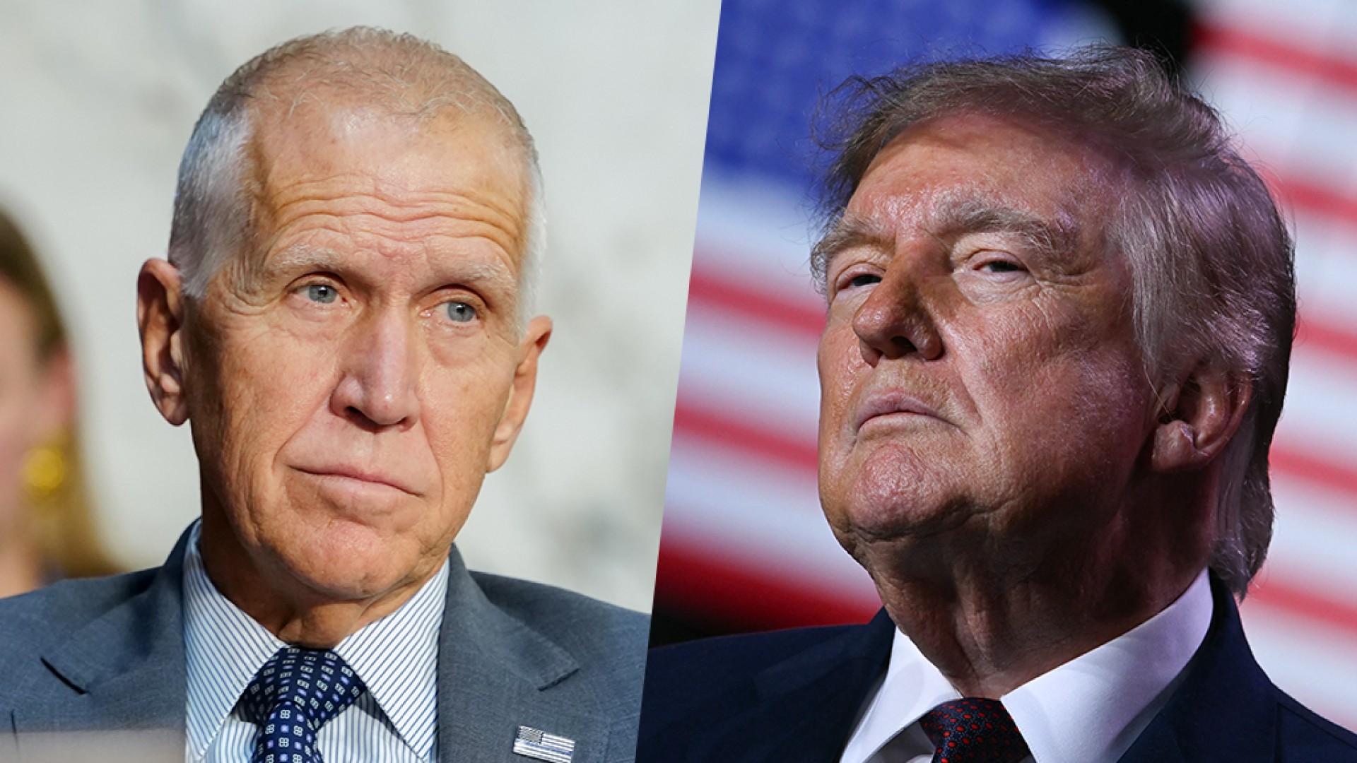 Thom Tillis, Donald Trump