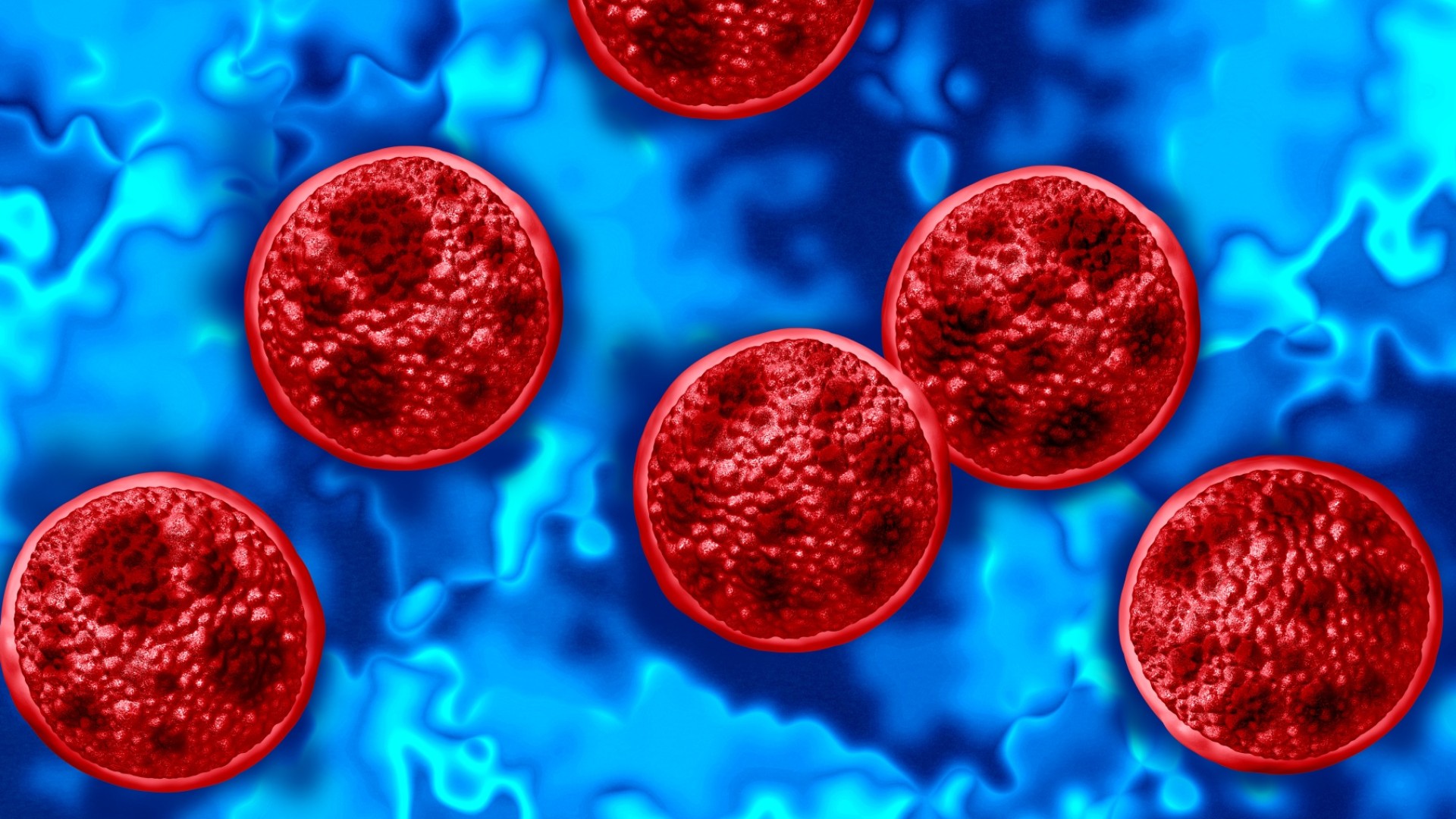 Cyclospora
