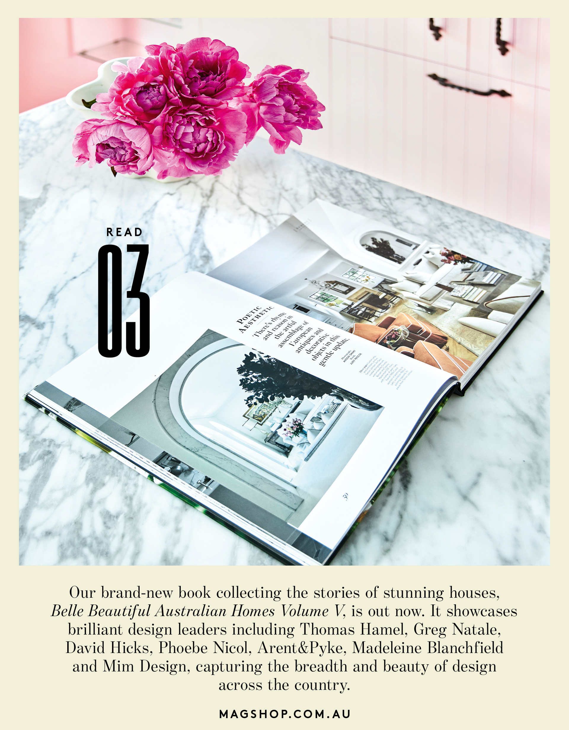 Belle Beautiful Australian Homes Vol 5 book