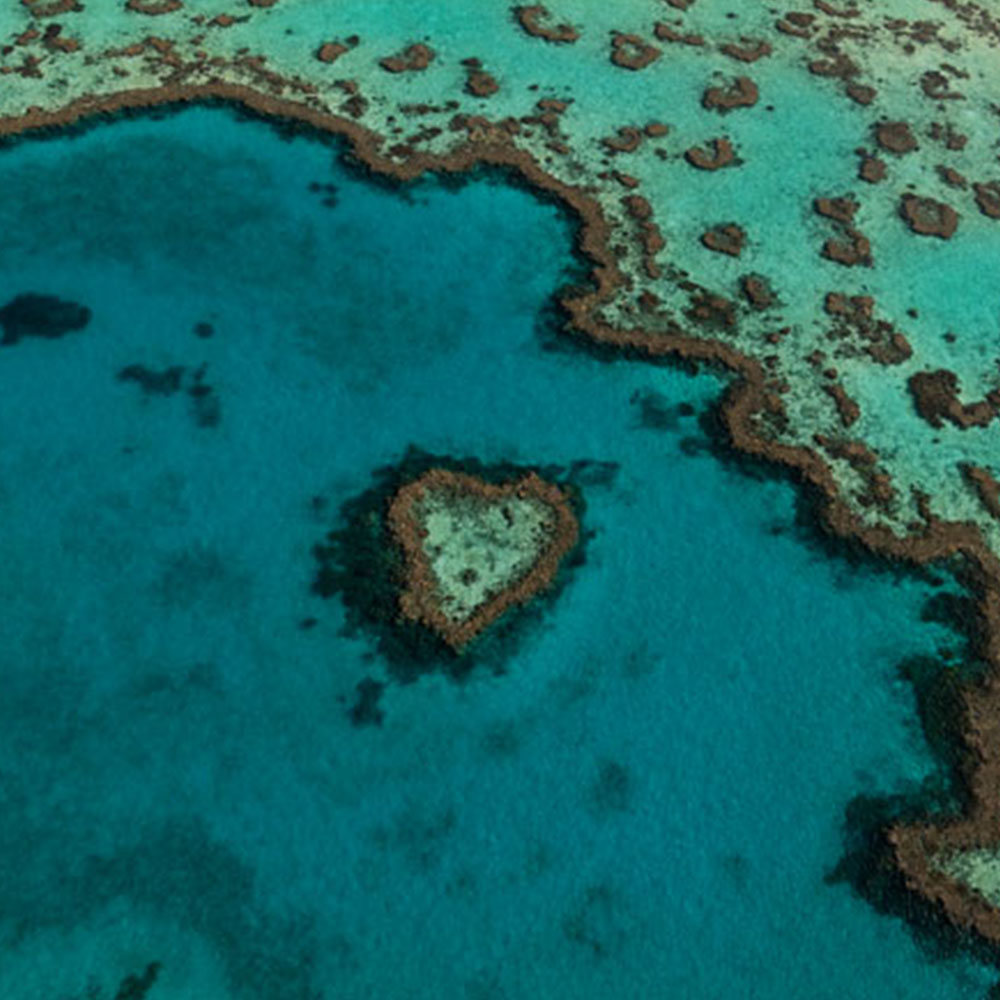 Explore The Great Barrier Reef