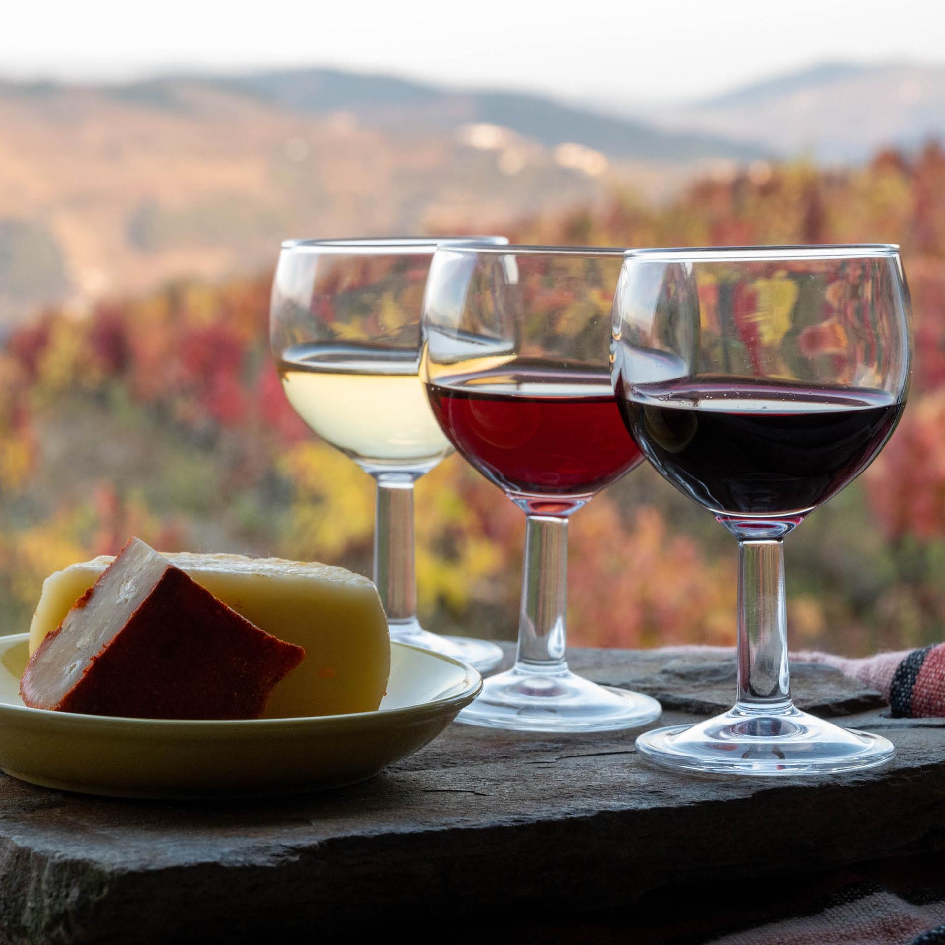 WINE TASTING IN PORTO