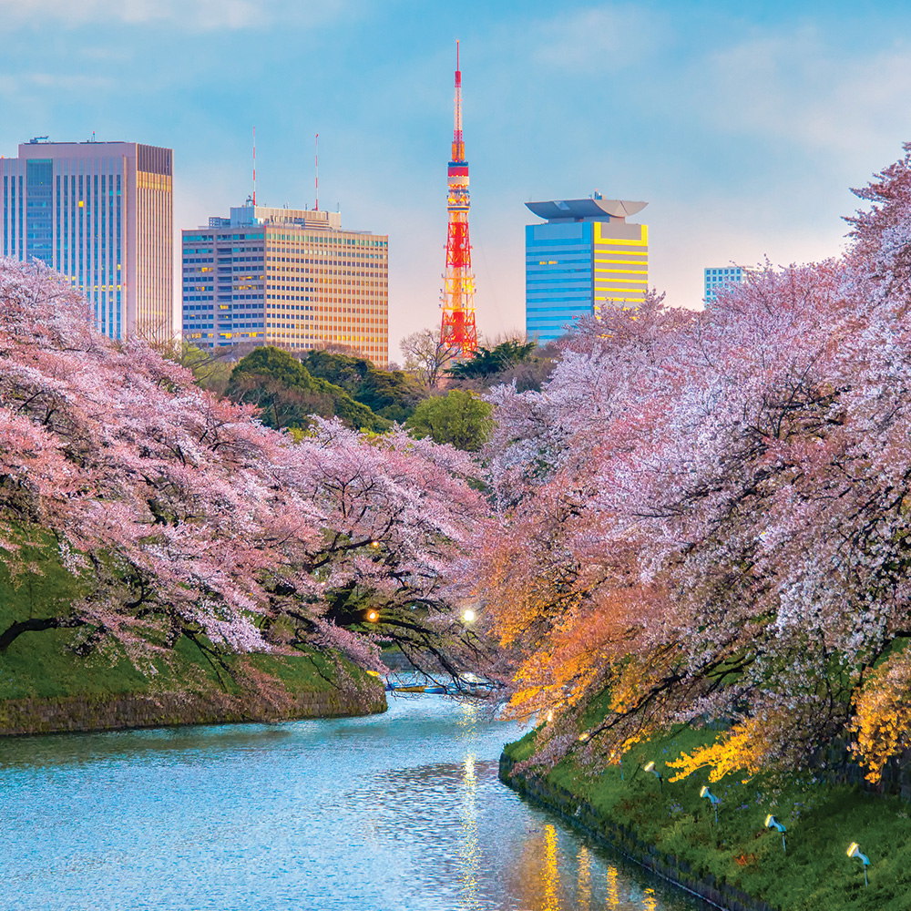 Bering Sea Explorer - Tokyo to Seattle