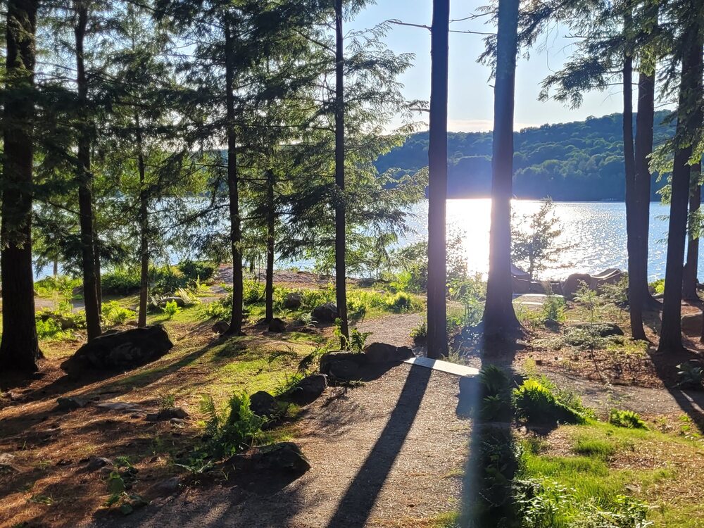 Sunlight streams through the trees on Langmaid's Island