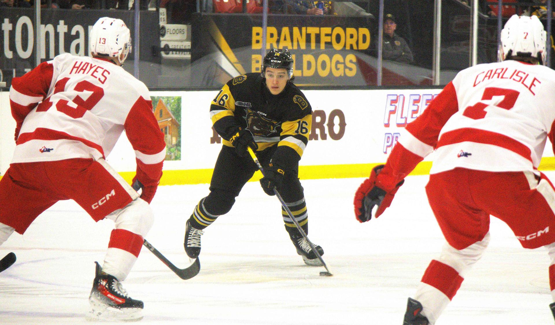 Nick Lardis of the Brantford Bulldogs carries the puck toward two Sault Ste. Marie defenders.