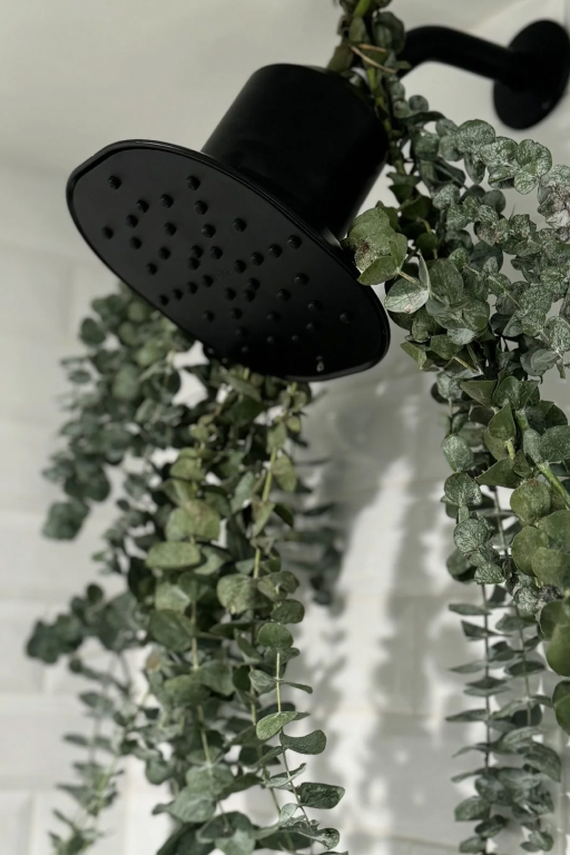 A filtered showerhead for softer hair and skin…