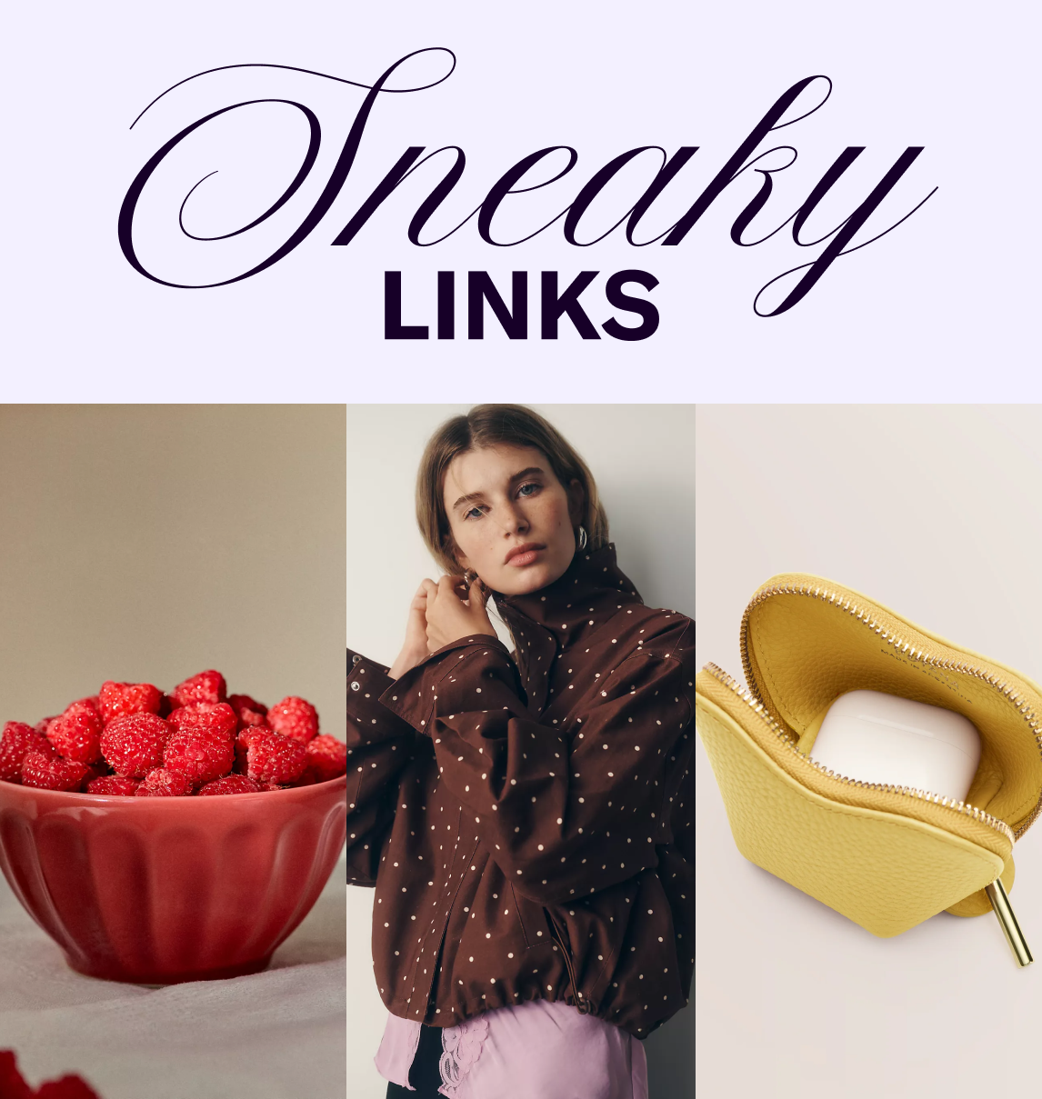 Sneaky Links