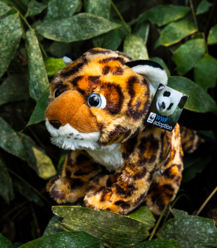 Symbolic Animal Adoption