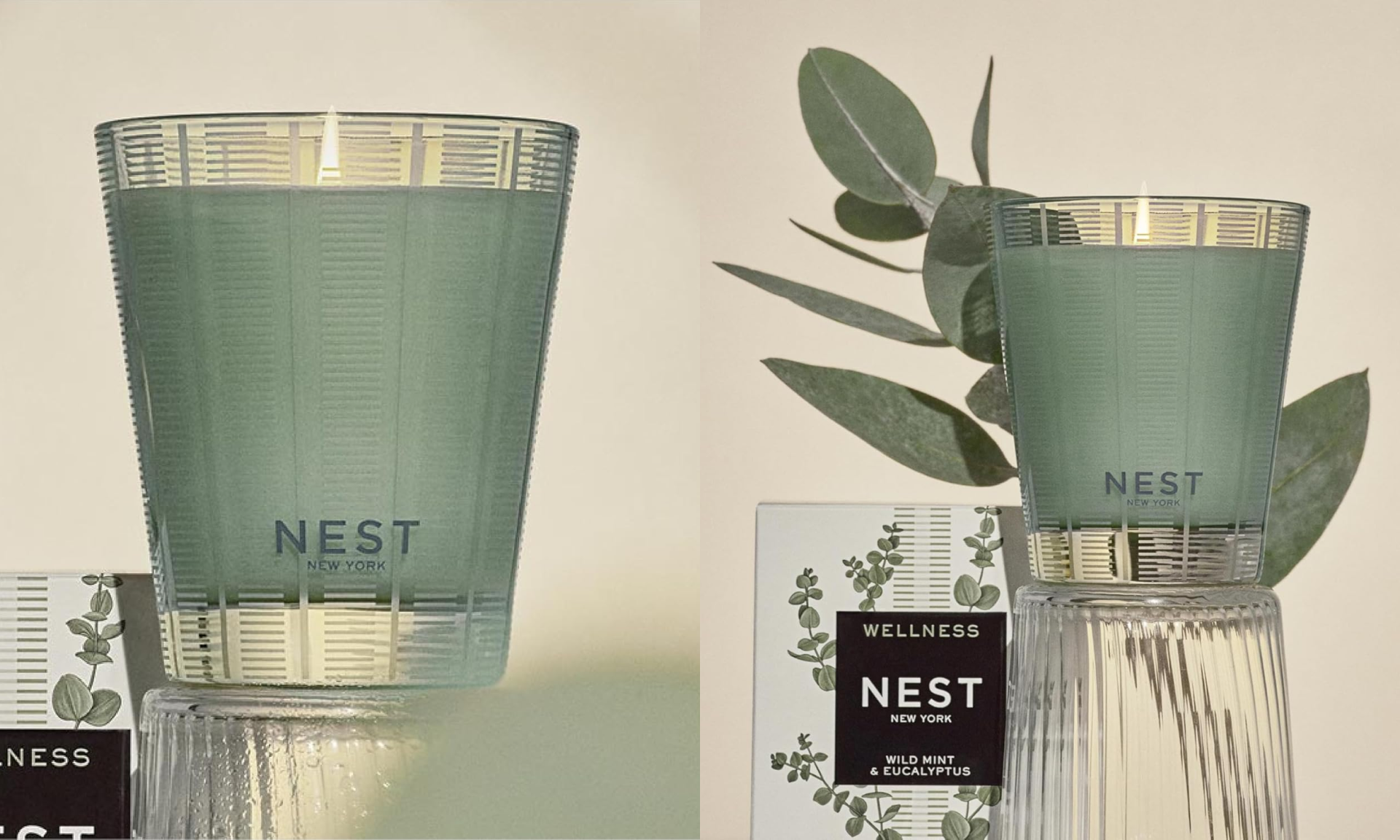 Scented Classic Candle, Wild Mint & Eucalyptus