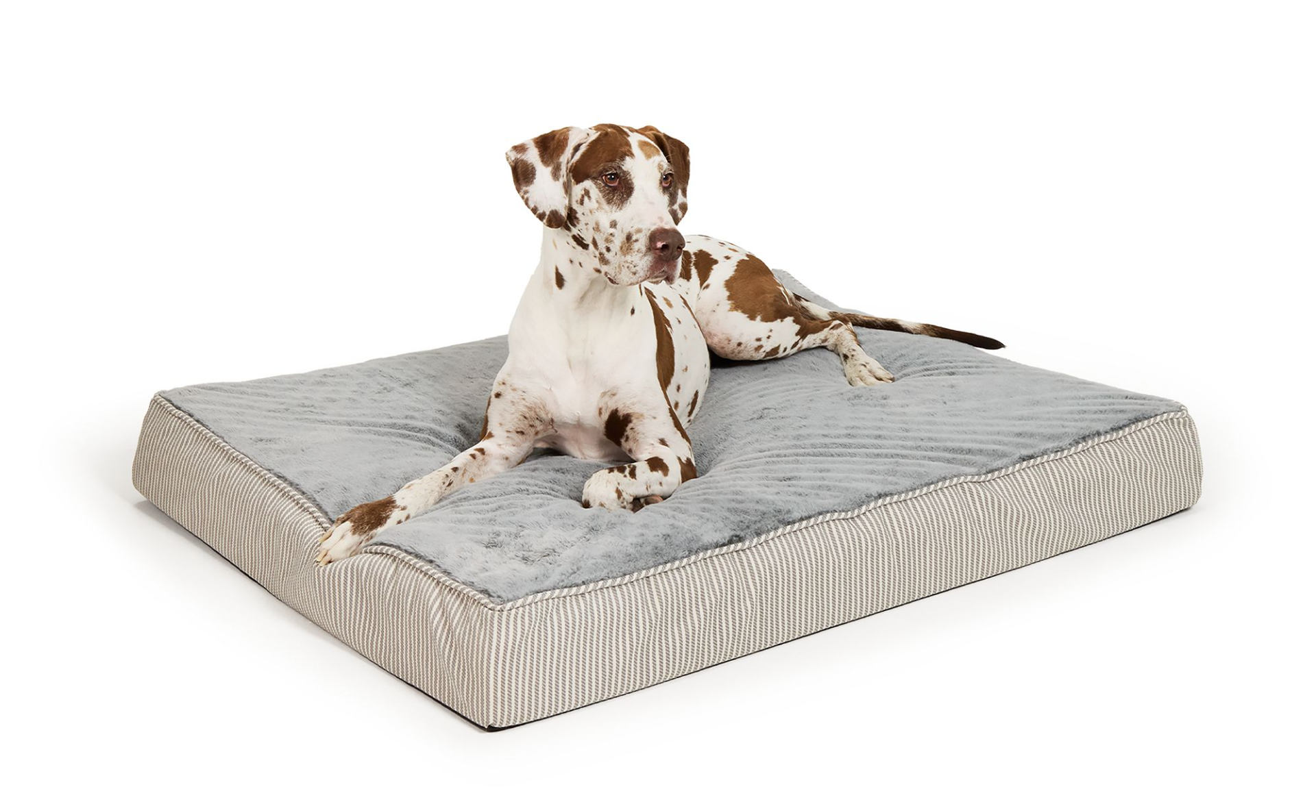 Top Paw® Orthopedic Mattress Dog Bed