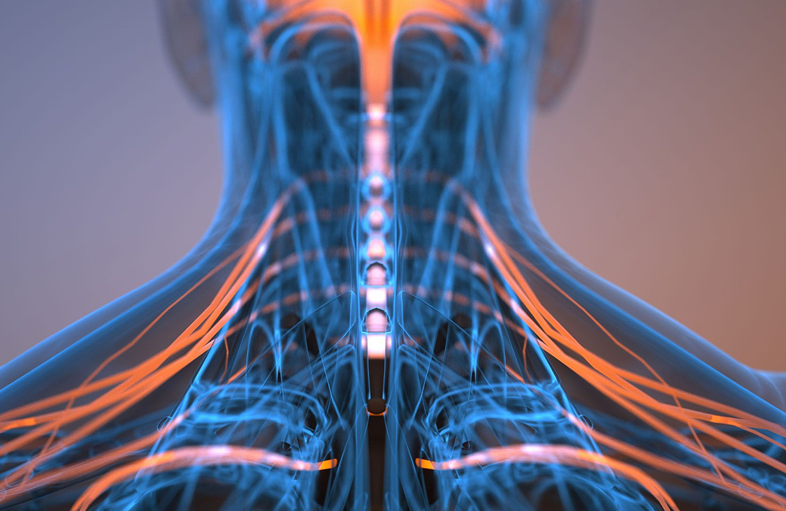 A how-to on regulating your nervous system