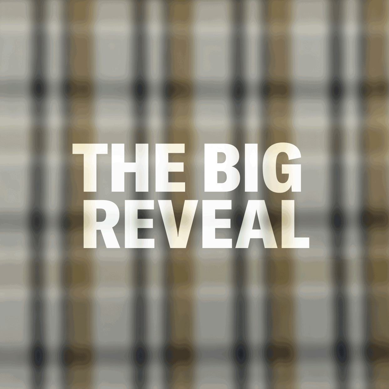 The Big Reveal: Explore the Plaid