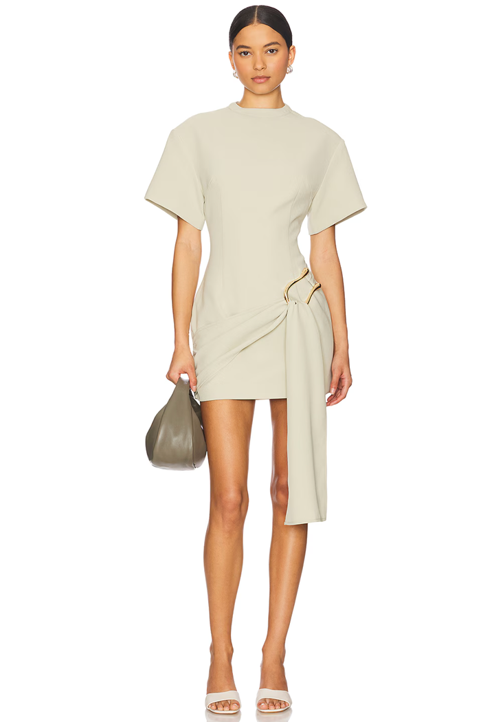 Lioness Martini Mini Dress