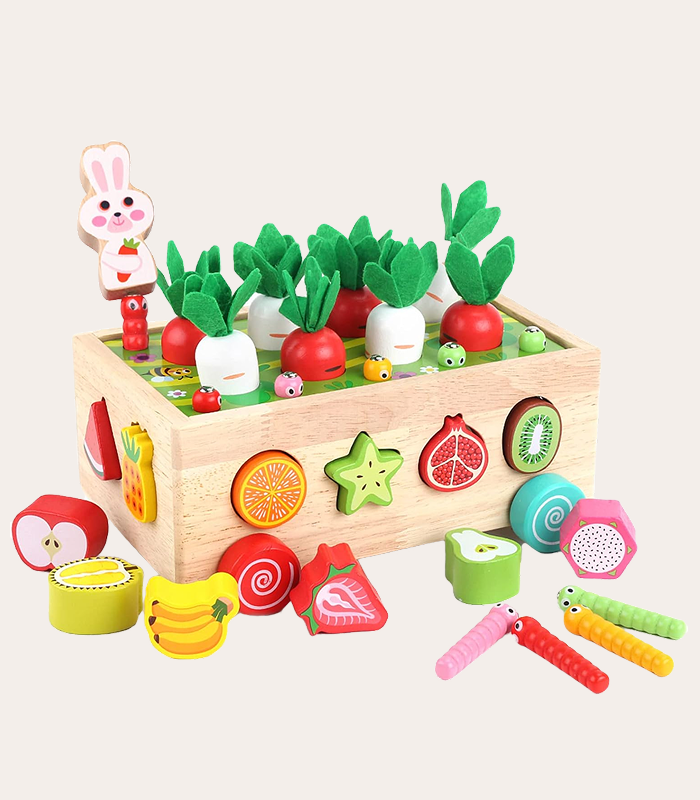 Toddlers Montessori Wooden Educational Toy