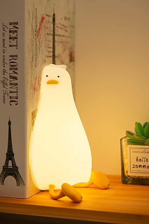 Lying Flat Duck Light