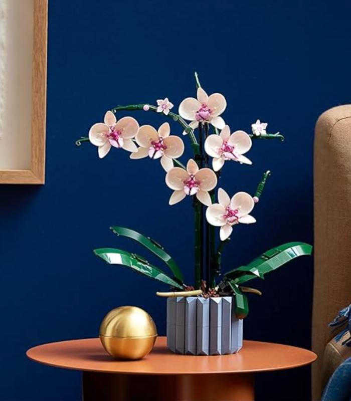 Botanicals Orchid