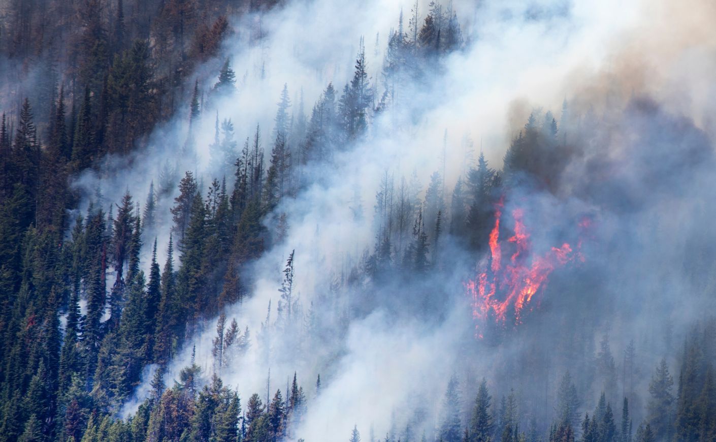 Wildfire in Canada