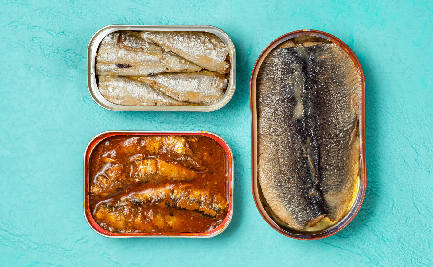 tins of sardines